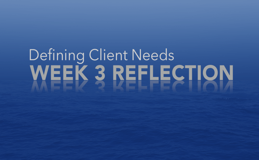 Defining Client Needs – Week 3&nbsp;Reflection