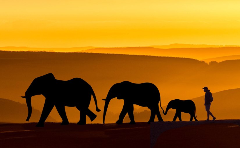 Effective Copy Writing – Mastery&nbsp;Journal