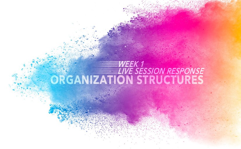 Organizational Structures – Week 1 Live Session&nbsp;Response