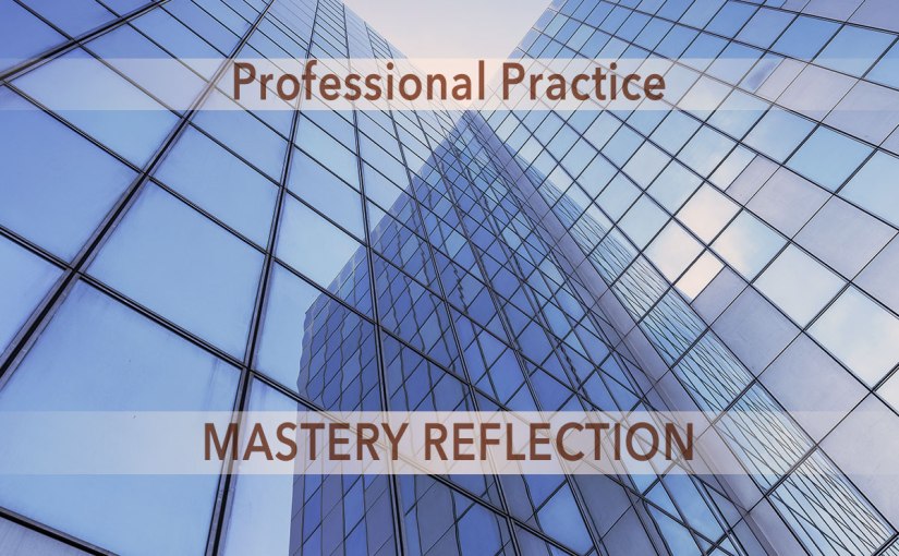 Professional Practice – Mastery&nbsp;Reflection